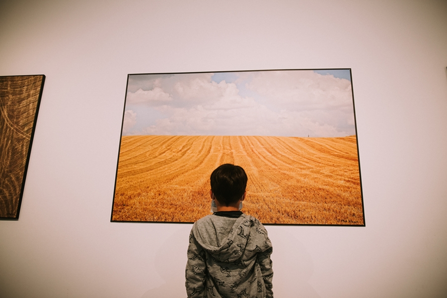 wnętrze galerii, chłopiec stoi przed fotografią, którą od dołu wypełnia pole dojrzałej pszenicy, górę niebo
