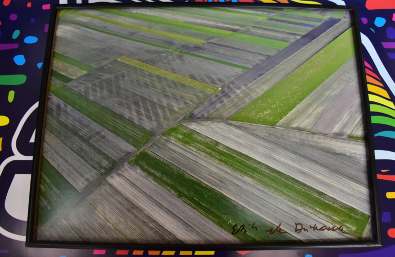 Zdjęcie podróżniczki Elżbiety Dzikowskiej - pole z lotu ptaka, wyglądające jak kolorowe paski